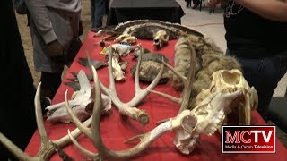 MCTV Newscast - 3/1/18