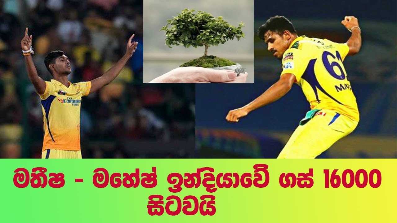 Matisha මතීෂ - මහේෂ් ඉන්දියාවේ ගස් 16000 ක් සිටවයි | Matisha - Mahesh is ...