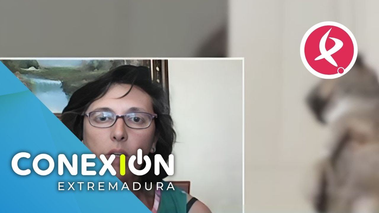 Encuentran 6 cachorros muertos en la protectora de animales de Higuera la Real| Conexión Extremadura