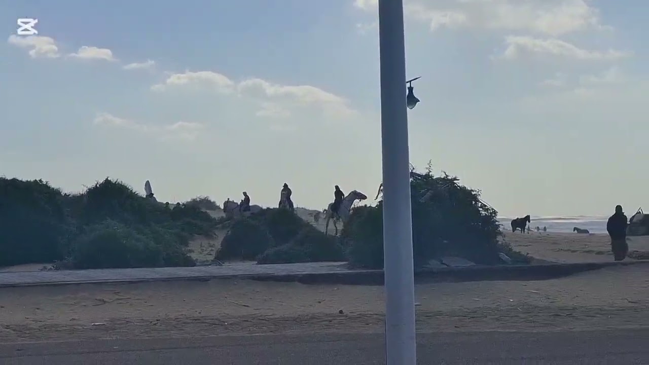 الطبيعة والربيع والبرد القارس بهده المدينة الجميلة 