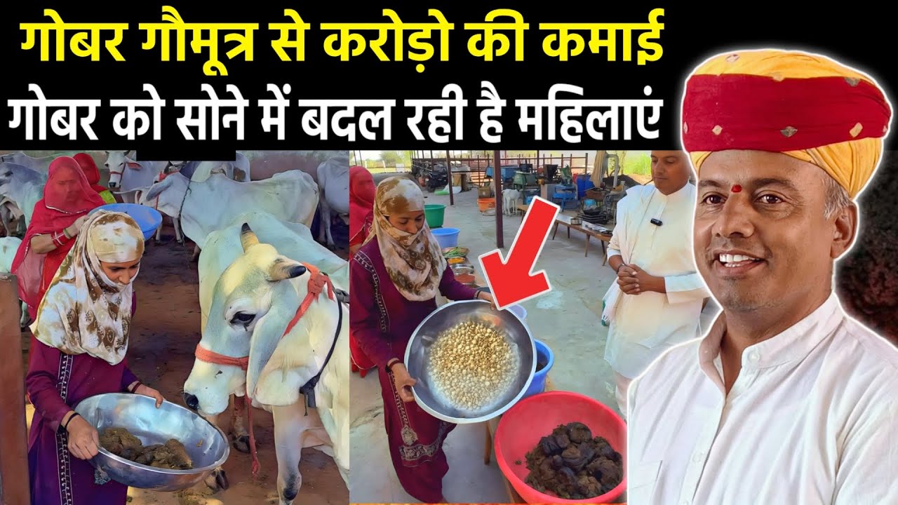 मिट्टी को बनाया सोना 👉 अब गोबर गौमूत्र से भी लाखो की कमाई होगी। Must Watch