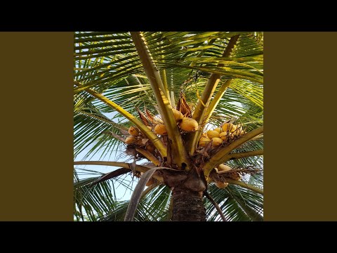 ABANG TUKANG BAKSO ‼️ Lagu Anak Balita Abang Tukang Bakso mari mari sini | Lagu Anak Populer