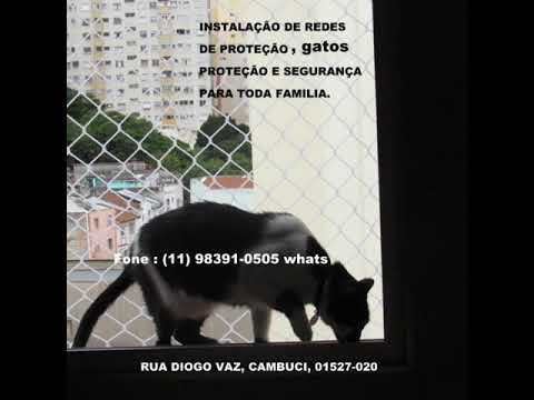 Redes de Proteção na Barra Funda, (11) 98391-0505 whatsapp gatos de nomes