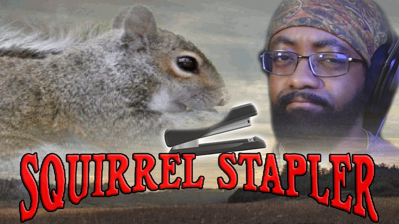Staple Squirrels...To Our Wife's Body...Meet God...?? Squirrel