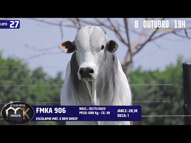 LOTE 27   FMKA 906