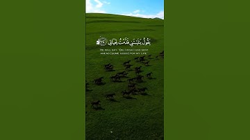 يَقُولُ يَا لَيْتَنِي قَدَّمْتُ لِحَيَاتِي..سورة الفجر..رعد محمد الكردی