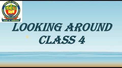 Nandita in Mumbai | EVS | Shipra Girdhar | Class 4 | English Medium