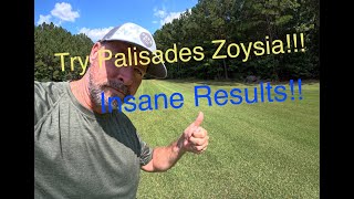 Zoysia |  What to know about Zoysia Grass!!!  Palisades Zoysia is incredible!!!