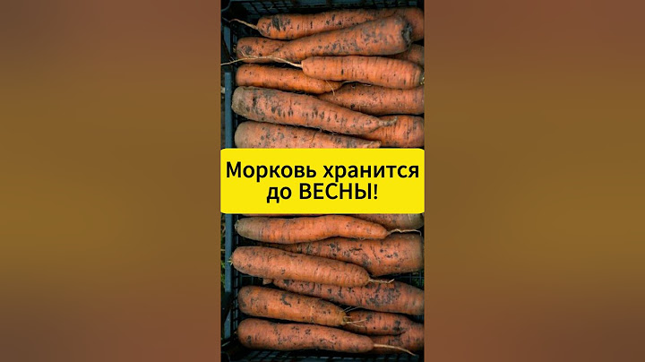 Морковь хранится до весны!  #дача  #огород #морковь #хранение