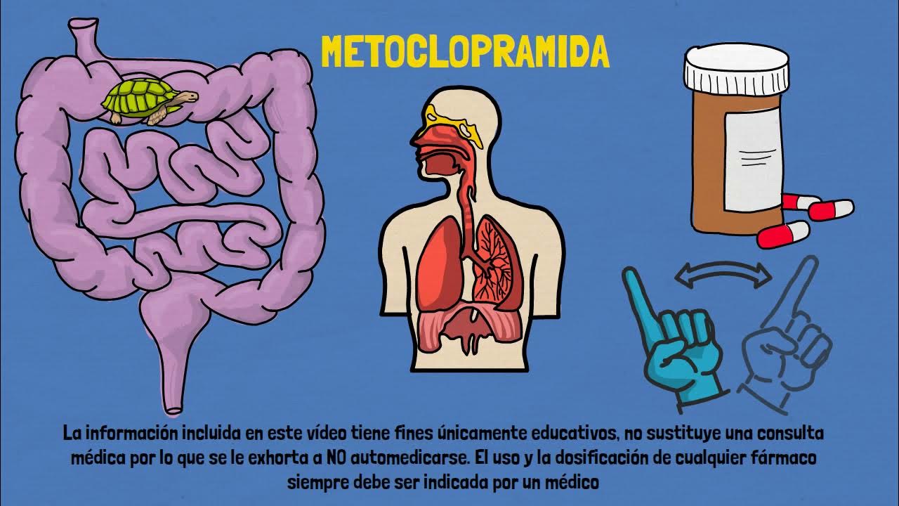 Qué es y para qué sirve la amoxicilina