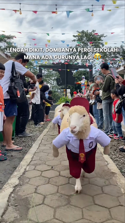 Anak Kecil Sekolah ❌ Domba Yang Sekolah ✅
