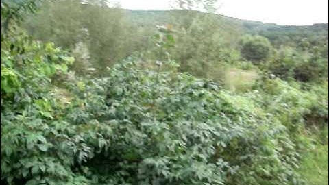 Flood of 2011: Susquehanna River Devours Otego, NY Farmland