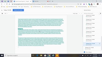 Google Docs: Compare Documents