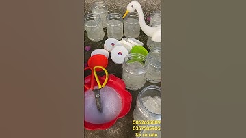 Keo dính cò vạc siêu dính.kèm que nan,cò xốp.giá bèo nhèo.#keodínhcò #keocò #keobẫycò