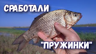 ДВЕ пружинки ЛУЧШЕ чем ТРИ. Ловля КАРАСЯ на пружины