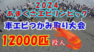 12,000 Tiger Prawns Deployed] When I participated in the Tiger