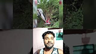 சீமைக்கருவேல மரம் வெட்டும் கருவி | Excavator Tree Shear Cutter 🌳 #Machinery #Agriculture #Viral