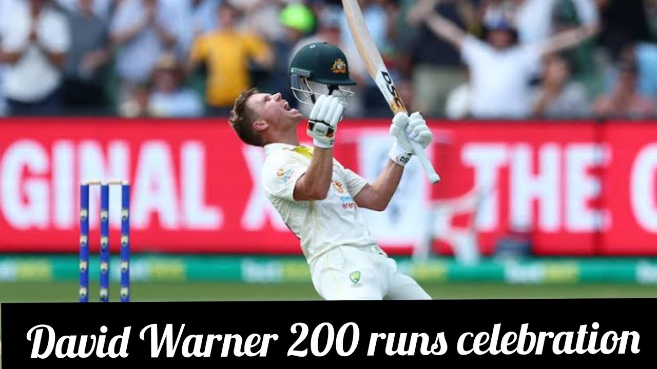 David Warner 200 runs celebration Against South Africa!! Amazing!!