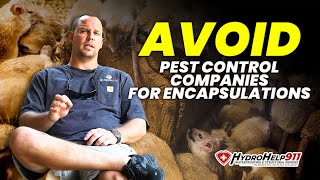 Why You Shouldn't Choose a Pest Control Company for Crawlspace Encapsulation