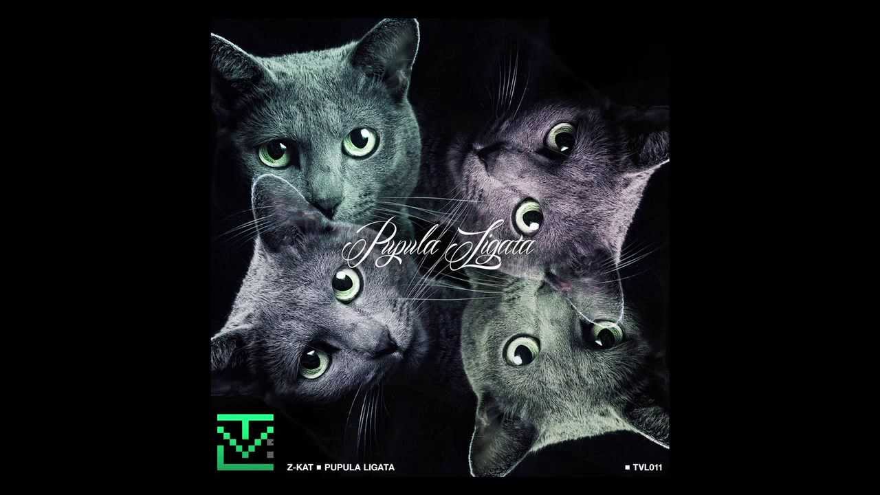 Z-Kat - Pupula Ligata (Shadow Drop remix)