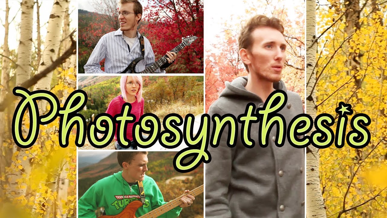 Bloom - Photosynthesis (Official Music Video) - Photosynthesis