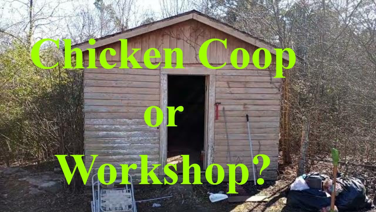 Project One. Workshop, Man Cave or Chicken Coop? Major Cleanup. Beginnings on the Farm