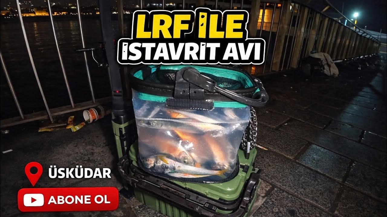 LRF İLE İSTAVRİT AVI / LRF BALIK AVI /