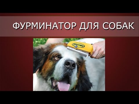 Фурминатор для собак