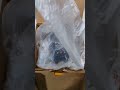 Unboxing a brand new Torp TC1000 controller for Surron bikes or talaria