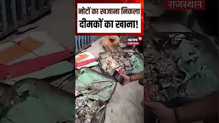 Viral Cash Video : पैसों से भरा बैग में लगे दीमक! | N18S | Viral | Cash | Top News | Breaking|Latest