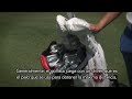 #ConociendoElDeporte - Golf