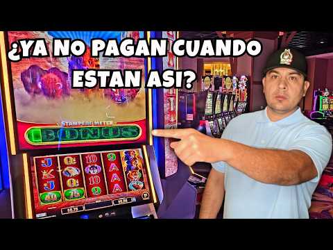 Hrajte v online kasínu Rabbit Road Casino – Akcia pre hráčov z Slovenska!