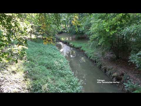 alter-botanischer-garten---tübingen