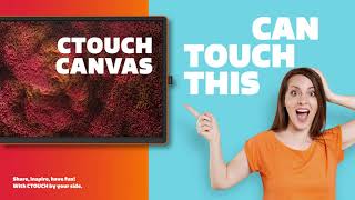 Ctouch Canvas Touchscreen - A Work Of Art