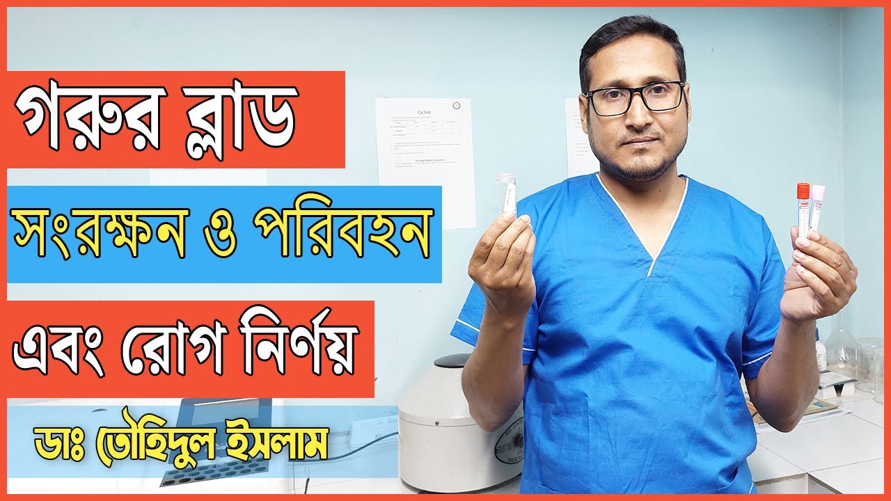 গরুর ব্লাড পরিক্ষার জন্য সঠিকভাবে পরিবহনের নিয়ম । গরুর ব্লাড পরিক্ষা করে সঠিক রোগ নির্ণয়।Dr.Touhidul