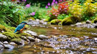 ?? 24/7 LIVE: Spring Nature & Relaxing Piano ?? Focus Music for Concentration