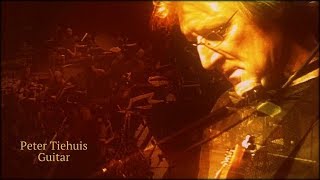 Celebrity Peter Tiehuis - You must be this Tall Net Worth