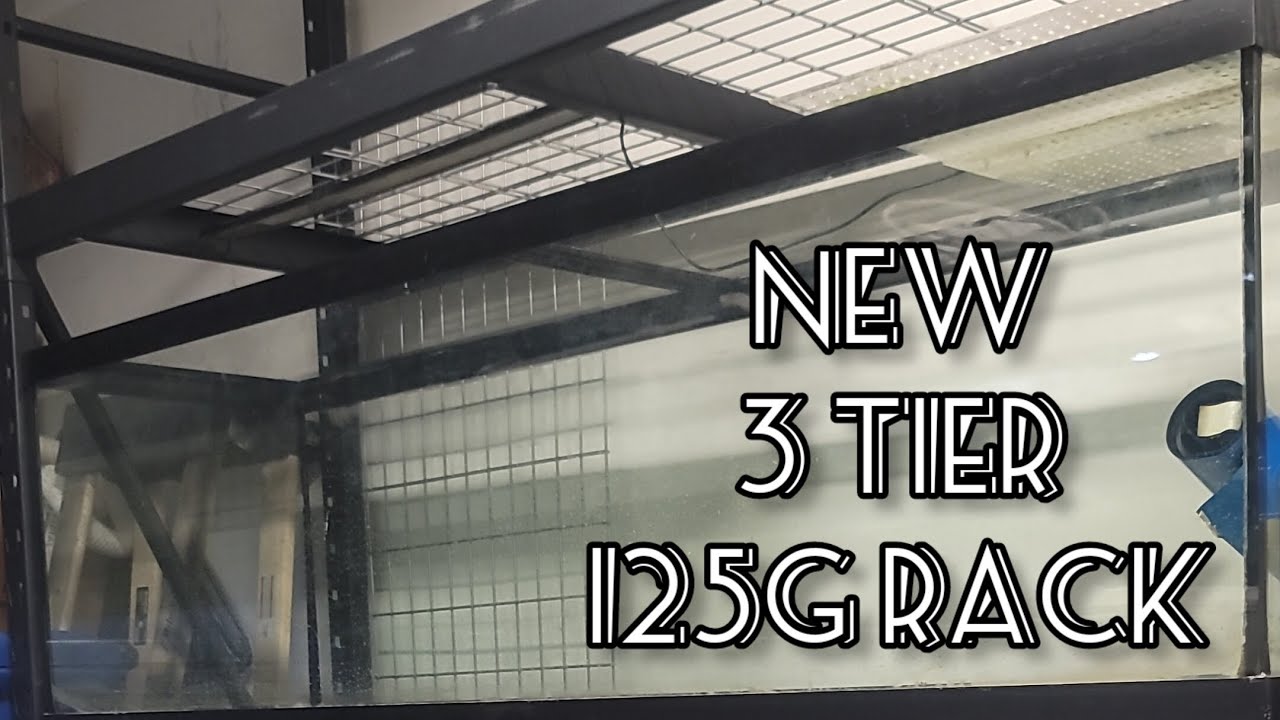 New ×3 Tier 125g Rack to The Fish Room‼️
