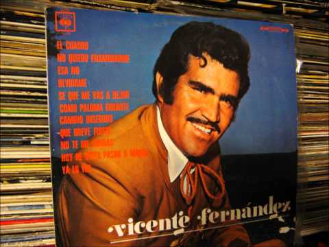 No Te Me Borras - Vicente Fernández