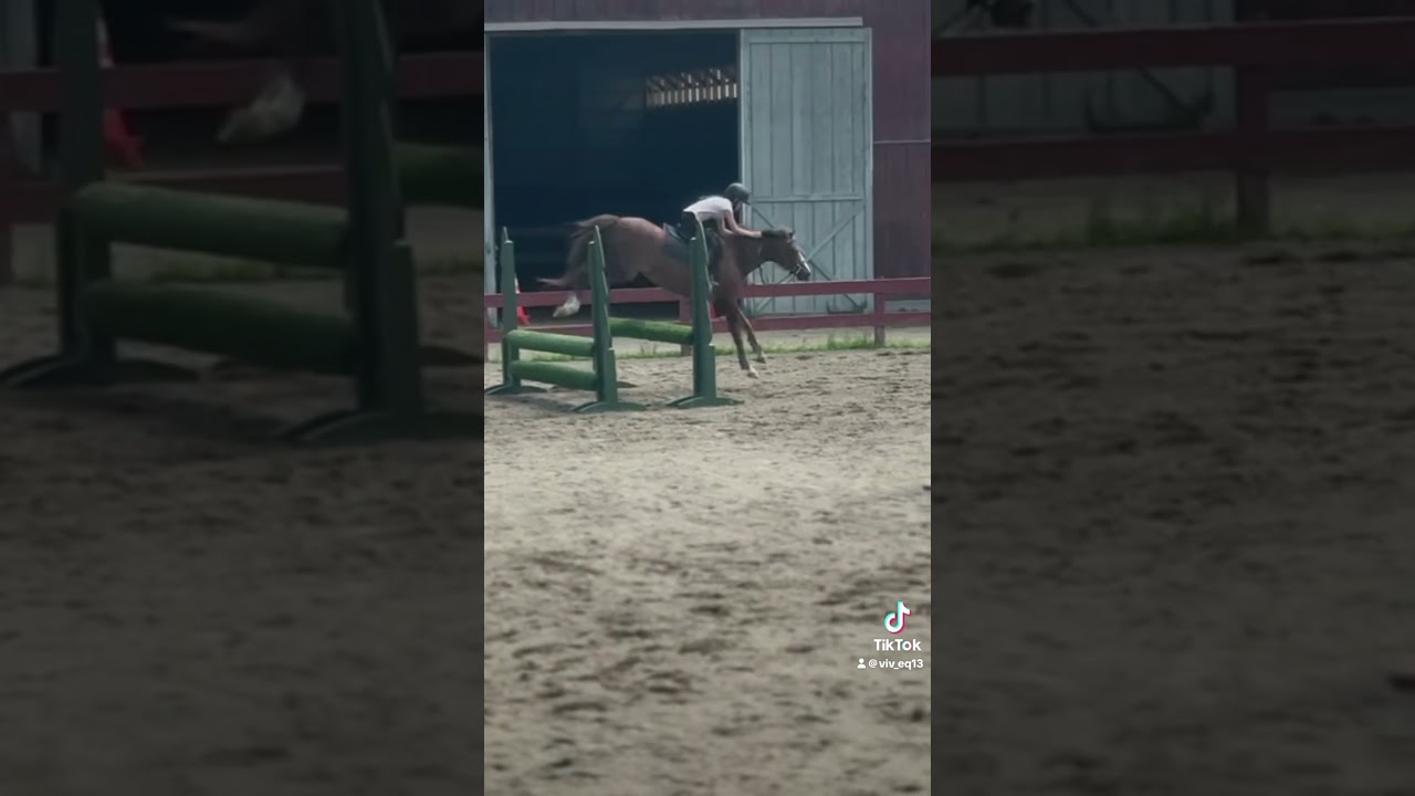 winny was great in our lesson today!