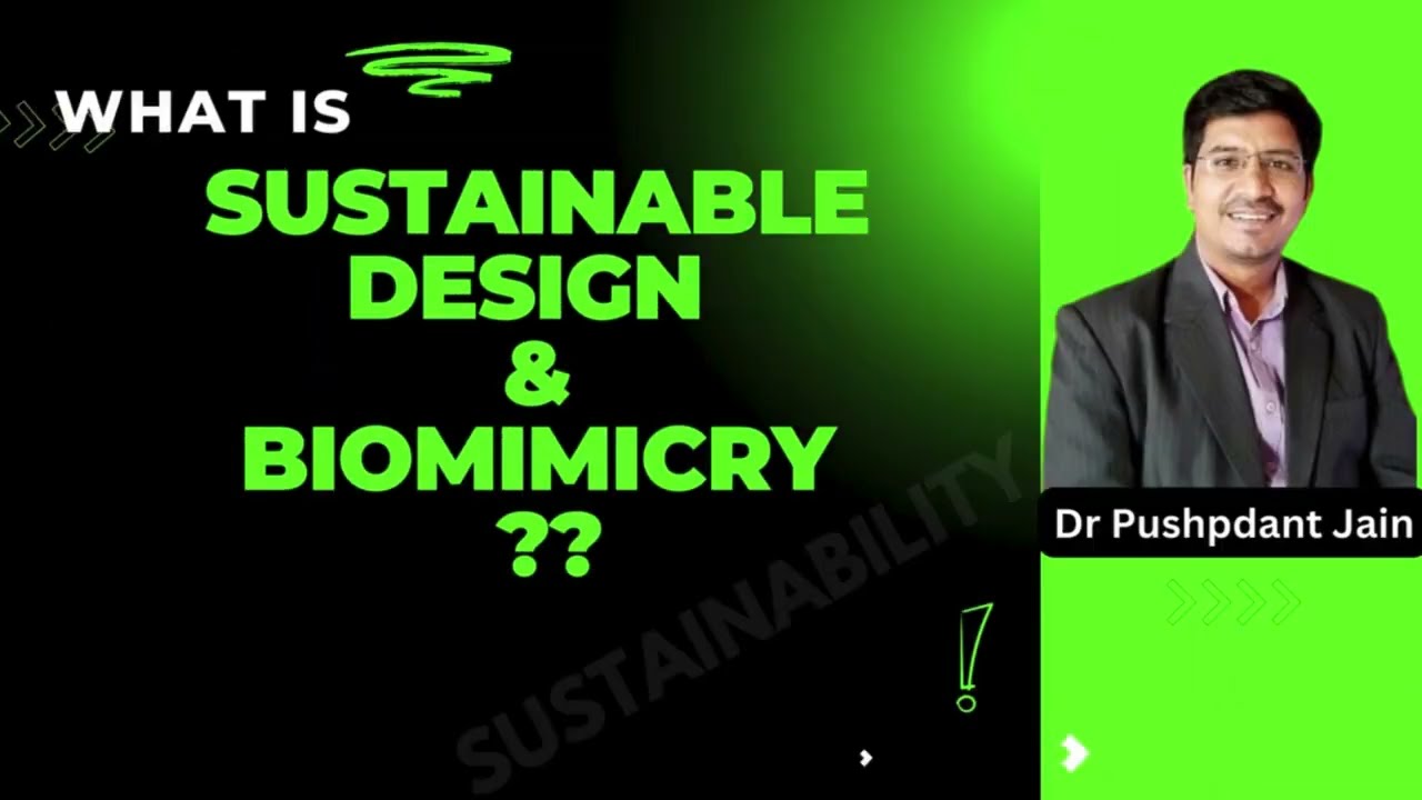 Sustainable Design and Biomimicry || #sustainability #biomimicry #design