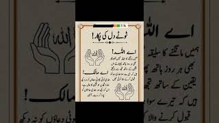 Tute dil ki pukar free online Aalima course...🧕🧕🕋🕋 #islamiceducation #deenibaatien #deenibaatien