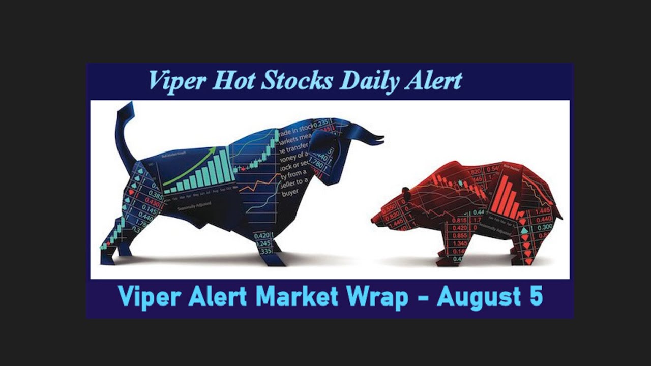 Viper Alert Market Wrap For August 5th