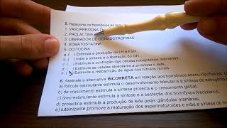 Endocrine System Questions