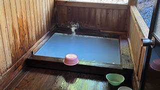 Norikura Kogen Seseragi no Yu (Free Open-Air Bath): Feeling Amazing