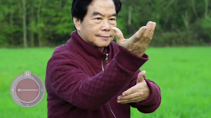 Tai Chi with Master Mantak Chia - Beginner to Inte...