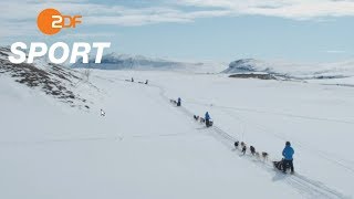 300 Km Durch Arktische Wildnis Eine Polartour Mit Schlittenhunden Zdf Sportreportage