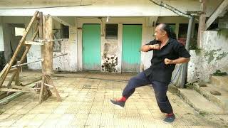 Understanding Chum Kiu: A Guide for Beginners