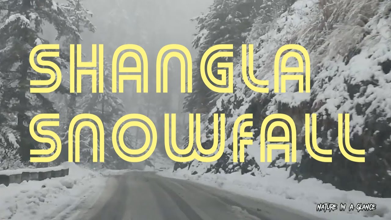 Shangla Snowfall - Jan 2022