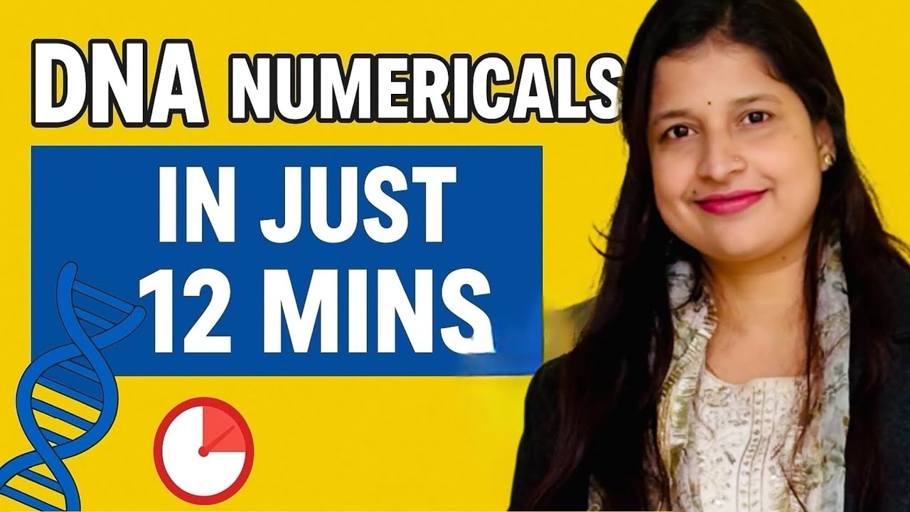 DNA Numericals in Just 10 Mins | Class 12 Biology & NEET | Easy & Quick Solution